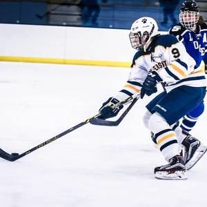 Meet your Posher, Riley